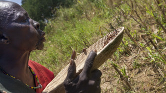 South Sudan famine