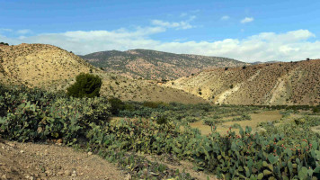 Mghilla Tunisia - Getty