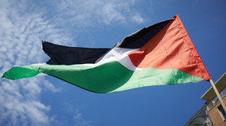 Toulouse Palestine flag [NurPhoto/Getty]