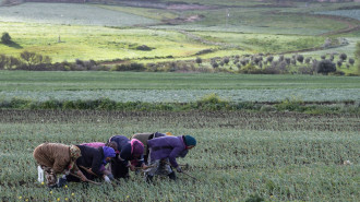 tunisia farmer