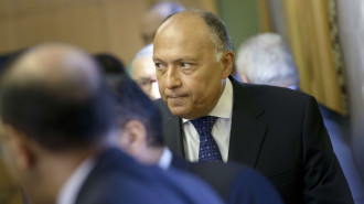 Getty Egypt foreign minister Sameh Shoukry 