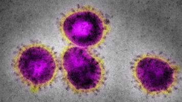 coronavirus