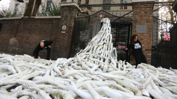 Save Aleppo protest London [The Syria Campaign[