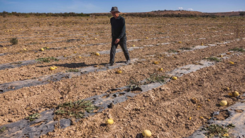 Drought in Morocco