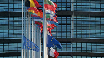 EU flags