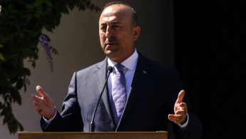 Mevlut Cavusoglu -- AFP