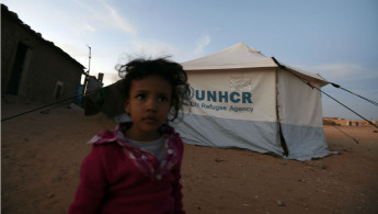 western sahara refugee