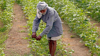 Iraq farmers