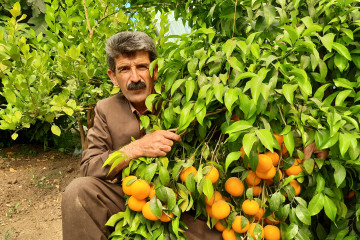 Azad farmer