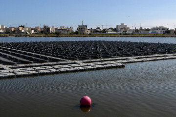 Light at end of tunnel for Tunisia after renewable boom