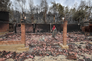 Algeria's scorched earth leaves public searching for answers