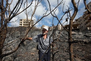 A Syrian man inspects a scorched area in the aftermath of a forest fire which ravaged swathes of land in the countryside of the western city of Tartus