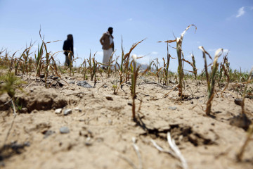 Yemen climate