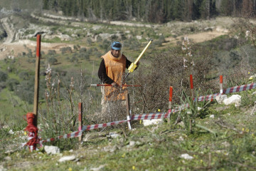 In Lebanon, war with Israel threatens the olive harvest