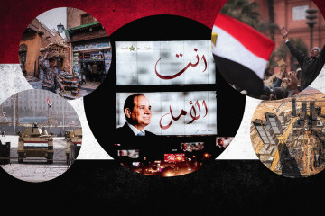 Egypt vs the American Revolution, Opinions