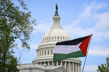 Pro-Palestinian activists protest in front of the Capitol 