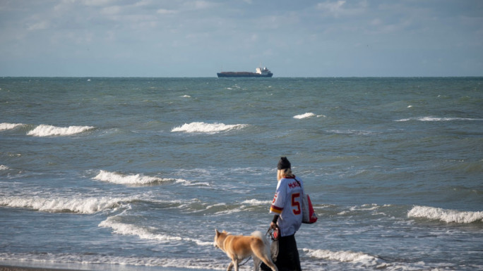 An Iranian woman walks with her pet along a shore of the Caspian sea in the city of Anzali