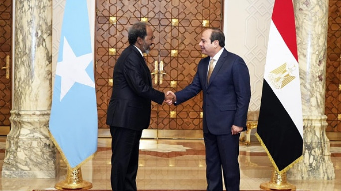 Egypt-Somalia defence deal is believed to have raised concerns over Cairo's influence in the Horn of Africa. [Getty]