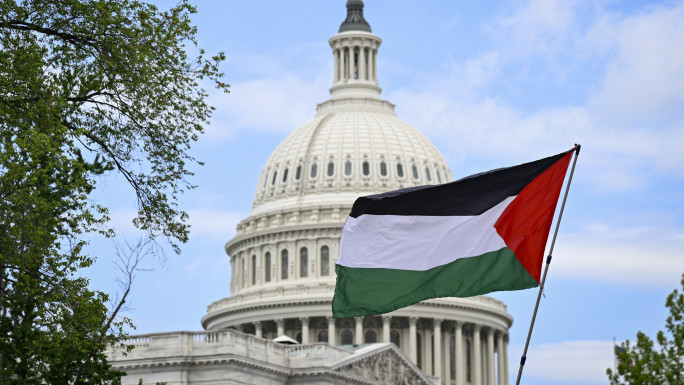 Pro-Palestinian activists protest in front of the Capitol 