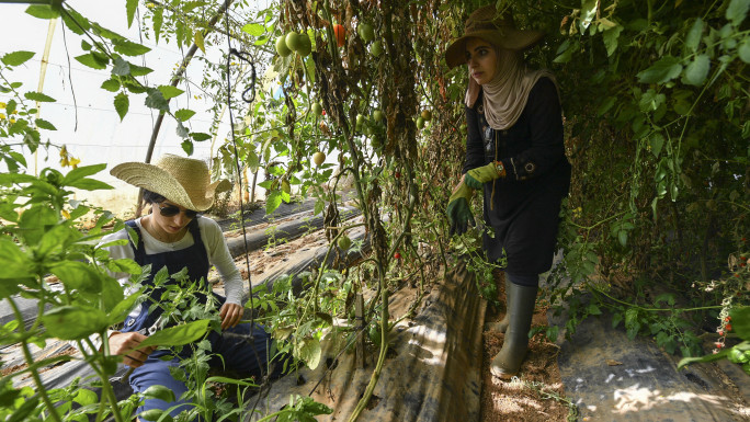 Ibtissem Mahtout and Amira Messous