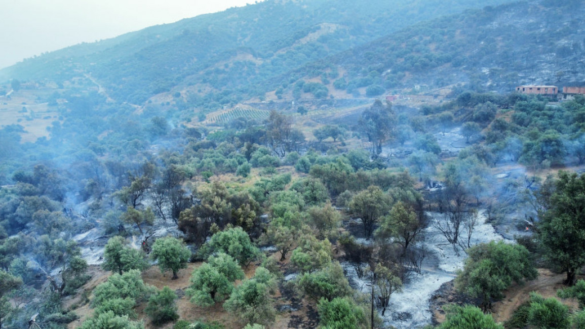 Deadly Fires Rage Along Algeria Coast, Spread To Tunisia