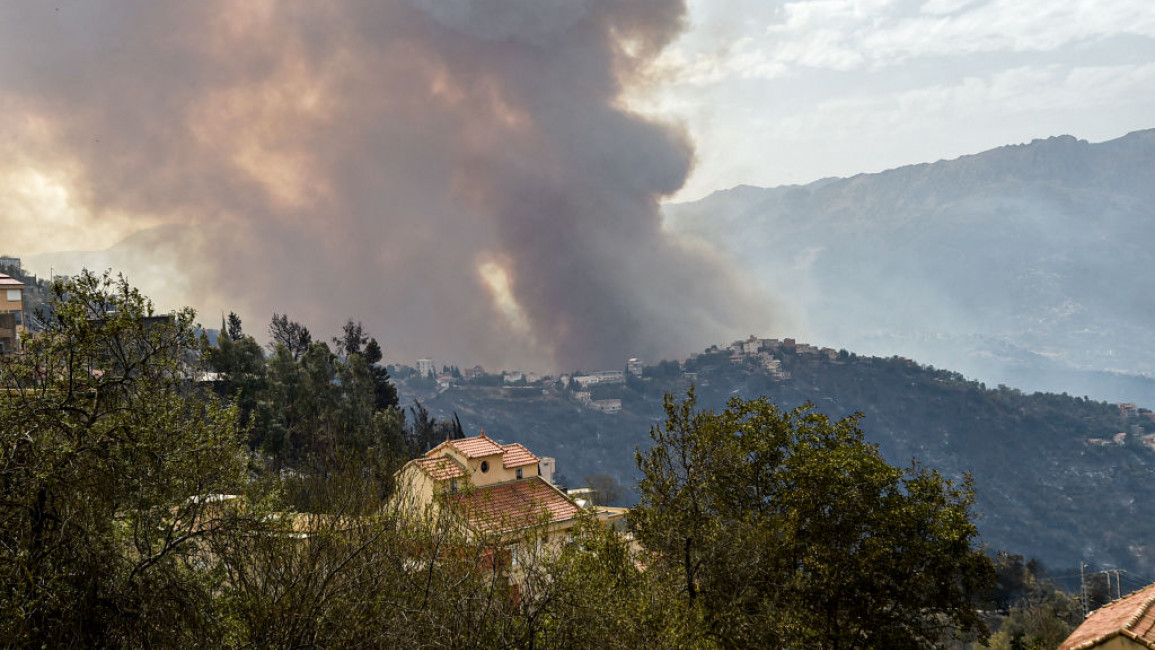 Wildfire Rips Through Algeria, Killing 42 People