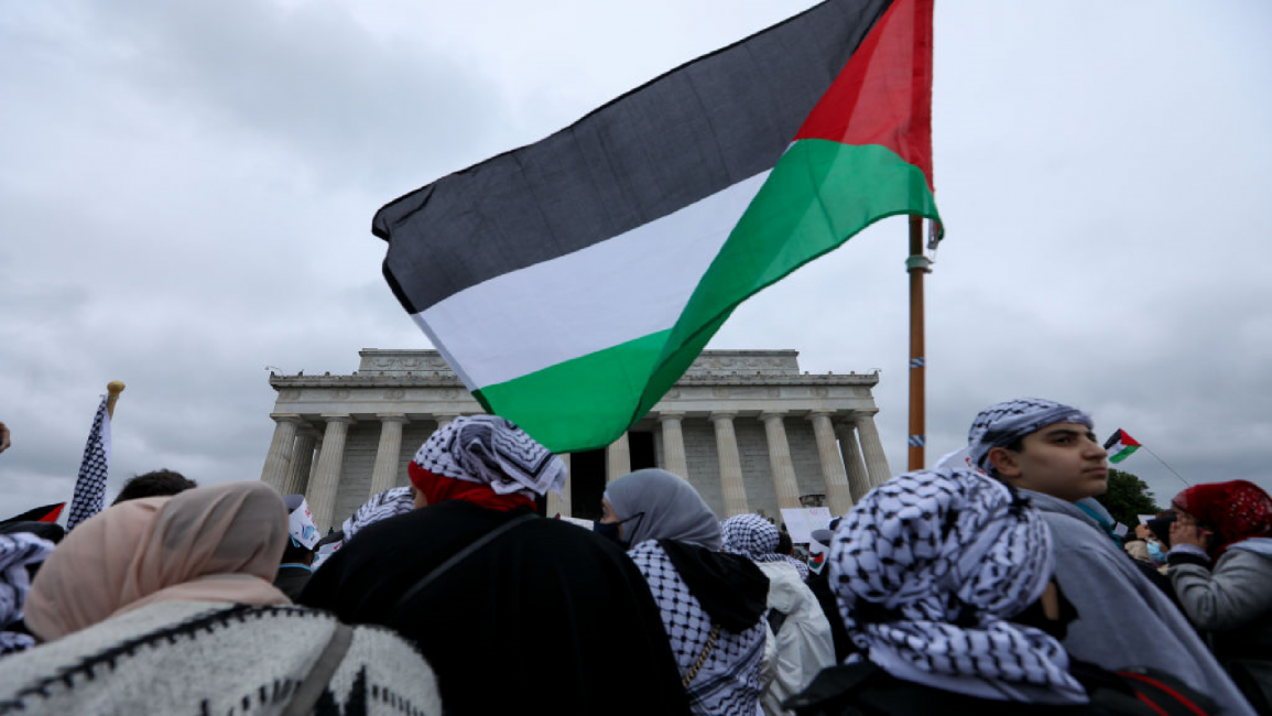 pro palestine march in washington dc