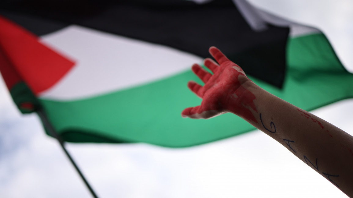 Palestine flag