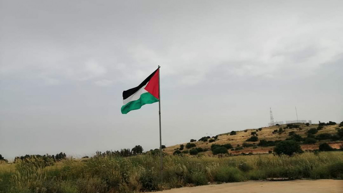 A Palestinian flag raised in one of Lebanon's villages along the southern border. [Ali Awadah/TNA]