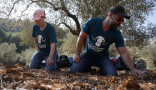  A group of Palestinians, foreign and Israeli activists gather to participated in an olive picking event on the land in the town of Battir, which is under threat of confiscation by Israel in Bethlehem, occupied West Bank on 8 November 2024. [Getty]